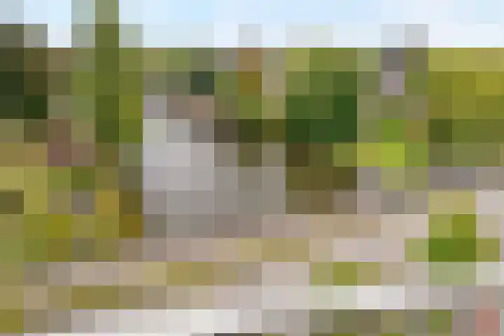 Harm Smeengekade 94 Zwolle thumbnail 20