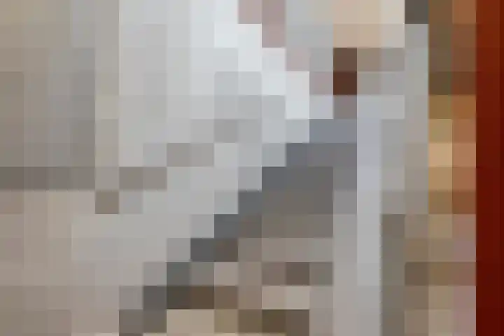 Harm Smeengekade 94 Zwolle thumbnail 23