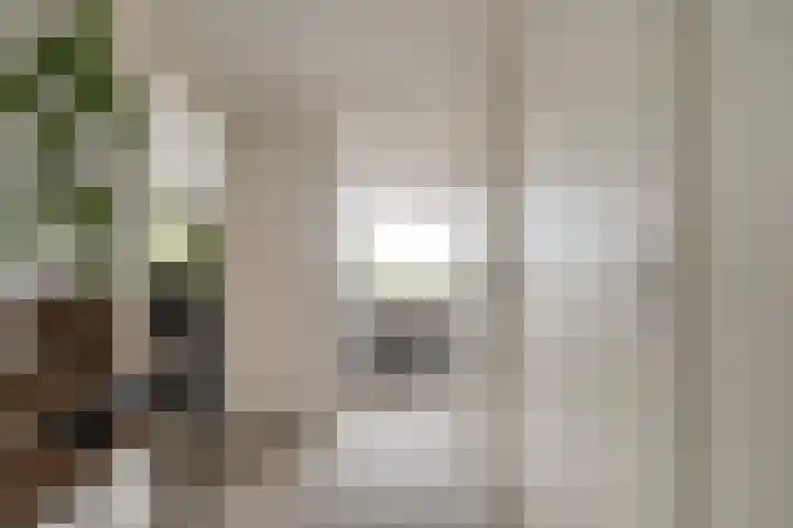 Harm Smeengekade 94 Zwolle thumbnail 4