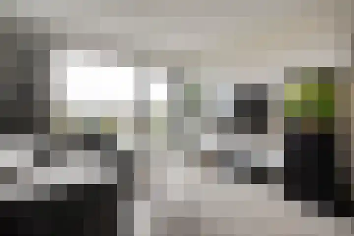 Harm Smeengekade 94 Zwolle thumbnail 7