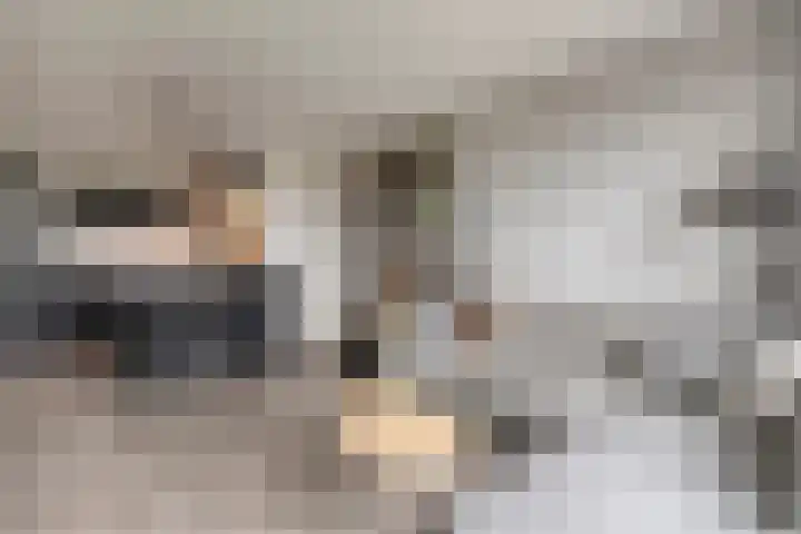 Harm Smeengekade 94 Zwolle thumbnail 8