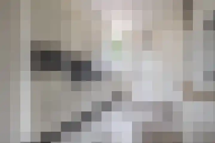 Harm Tiesingstraat 44 2e Exloërmond thumbnail 4