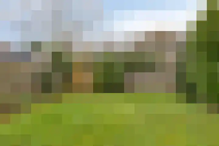 Harm Tiesingstraat 49 2e Exloërmond thumbnail 33