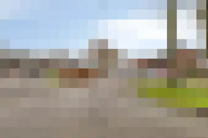 Harm Tiesingstraat 49 2e Exloërmond thumbnail 36