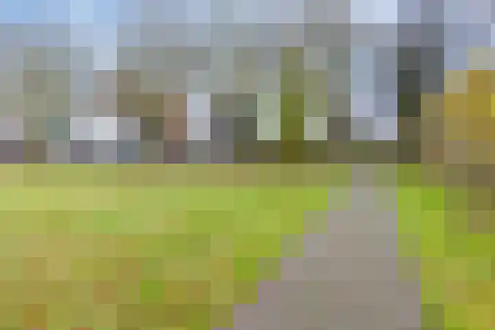 Harm Tiesingstraat 49 2e Exloërmond thumbnail 38