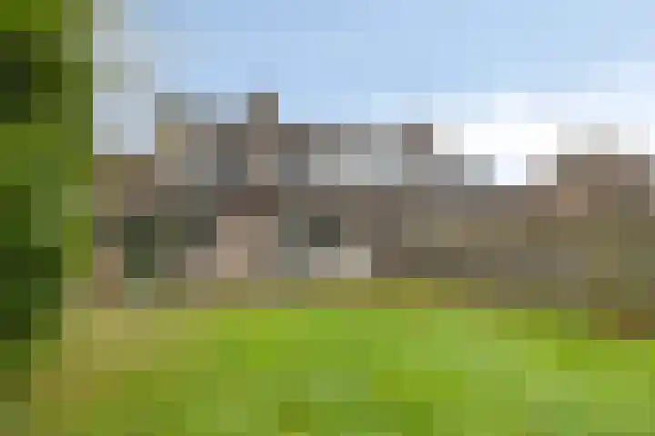 Harm Tiesingstraat 49 2e Exloërmond thumbnail 4