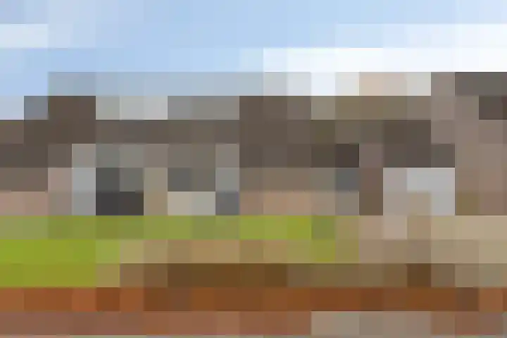 Harm Tiesingstraat 49 2e Exloërmond thumbnail 5