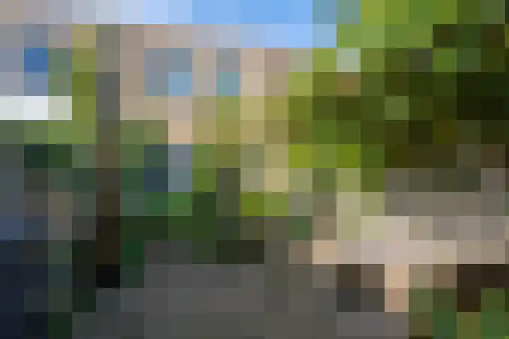 Harman de Vriesstraat 25 Voorhout thumbnail 20