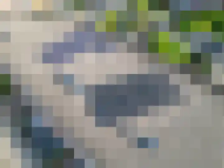 Harman de Vriesstraat 25 Voorhout thumbnail 24