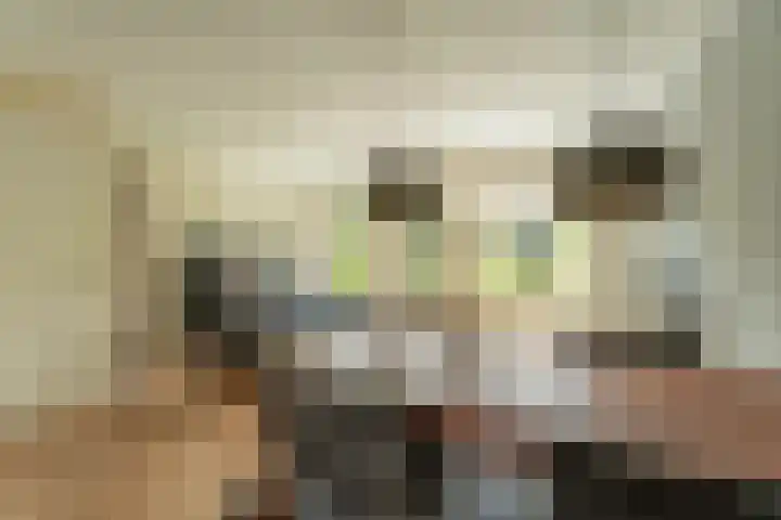 Harman de Vriesstraat 25 Voorhout thumbnail 8