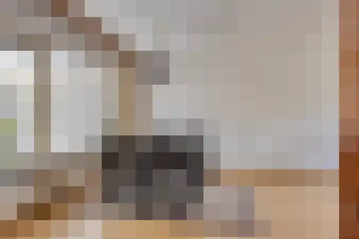 Harmen Addinkstraat 22 Steenderen thumbnail 13