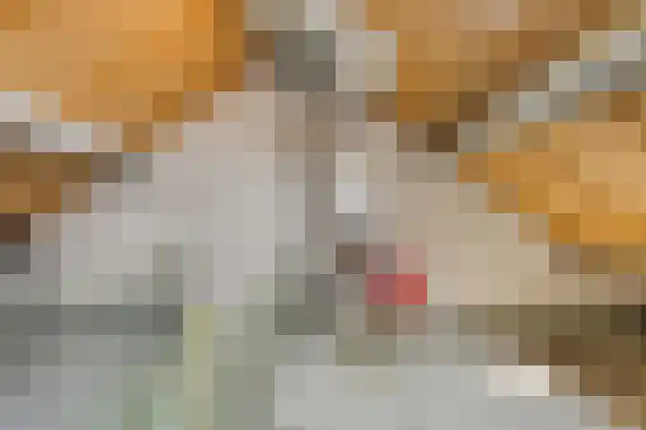 Harmen Addinkstraat 22 Steenderen thumbnail 33