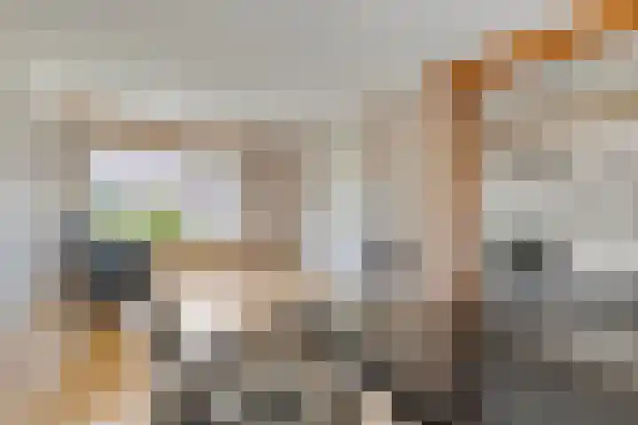 Harmen Addinkstraat 22 Steenderen thumbnail 5