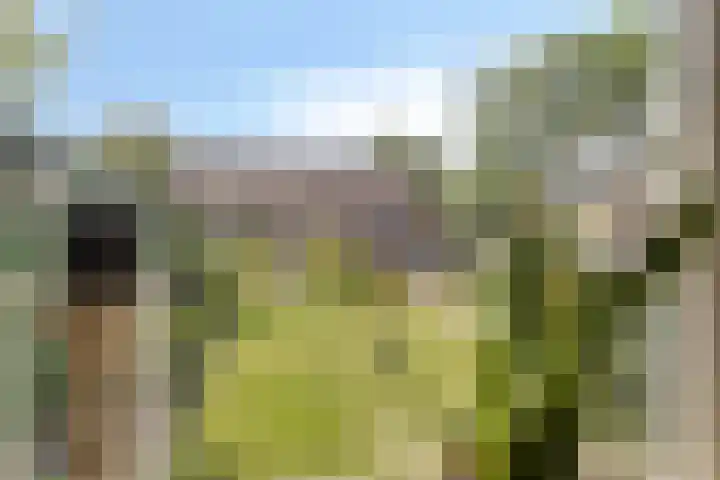 Harmen Addinkstraat 22 Steenderen thumbnail 8