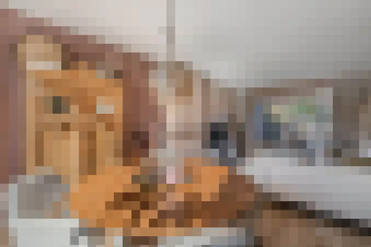 Harmen Coops Fledderusstraat 10 Steenwijk thumbnail 7