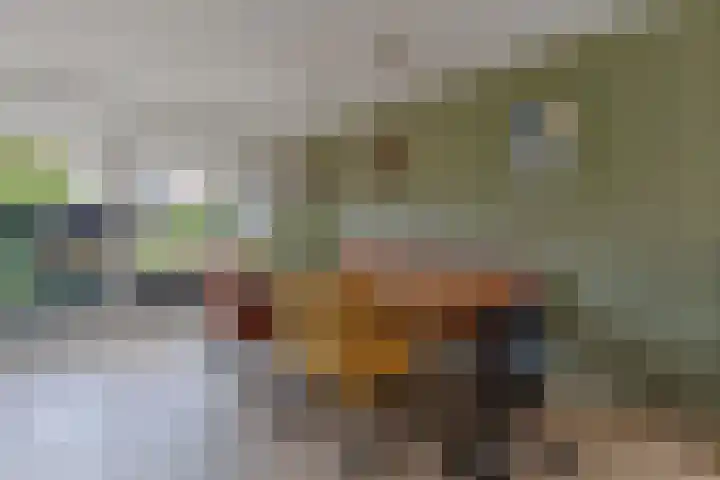 Harmen Coops Fledderusstraat 13 Steenwijk thumbnail 11