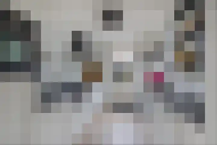 Harmen Coops Fledderusstraat 13 Steenwijk thumbnail 13