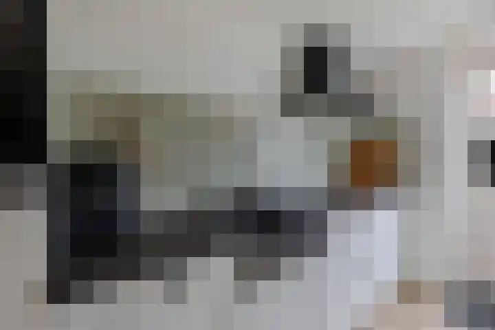 Harmen Coops Fledderusstraat 13 Steenwijk thumbnail 14