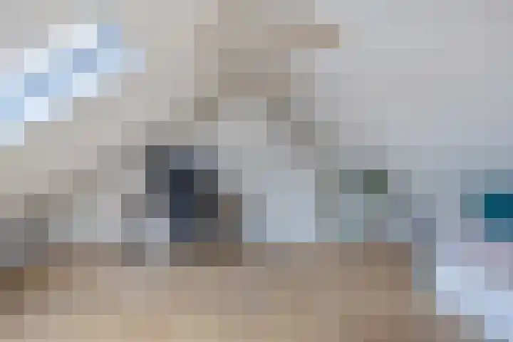 Harmen Coops Fledderusstraat 13 Steenwijk thumbnail 29
