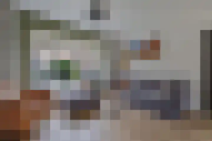 Harmen Coops Fledderusstraat 13 Steenwijk thumbnail 7