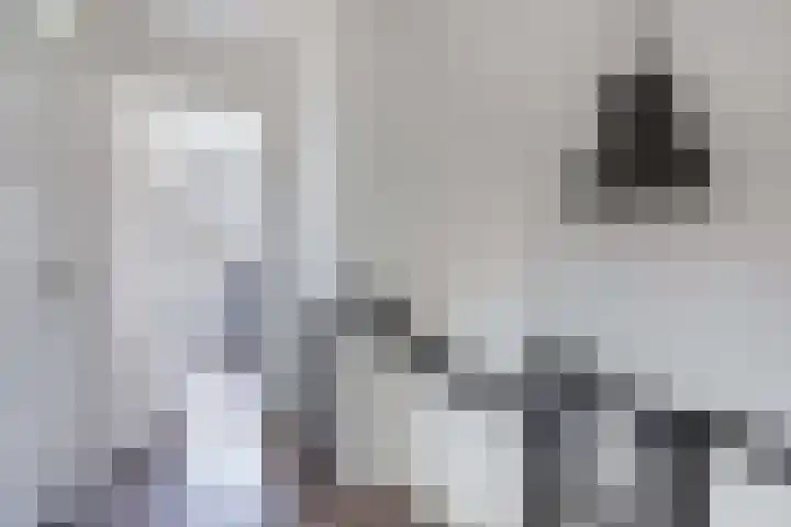 Harmen Coops Fledderusstraat 18 Steenwijk thumbnail 18