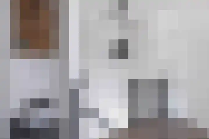 Harmen Coops Fledderusstraat 18 Steenwijk thumbnail 19