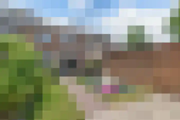 Harmen Coops Fledderusstraat 18 Steenwijk thumbnail 27