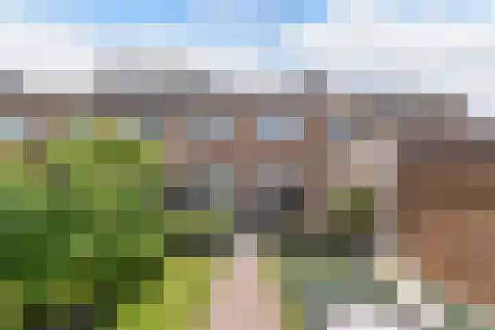 Harmen Coops Fledderusstraat 18 Steenwijk thumbnail 28