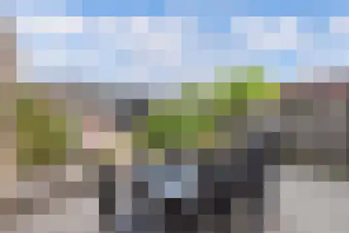 Harmen Coops Fledderusstraat 18 Steenwijk thumbnail 31
