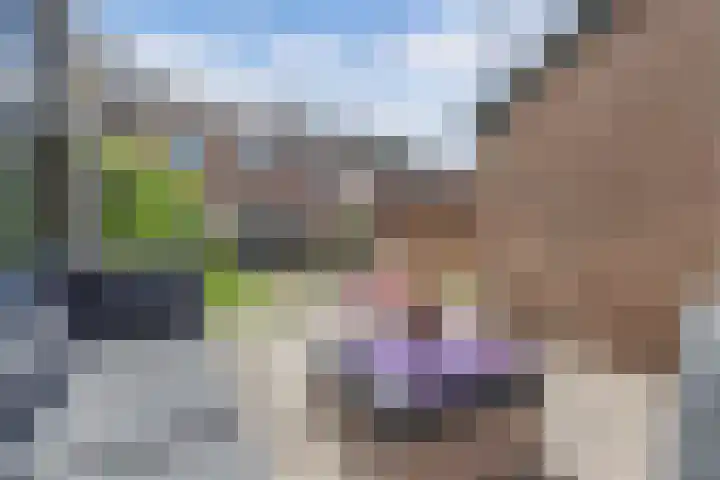Harmen Coops Fledderusstraat 18 Steenwijk thumbnail 37