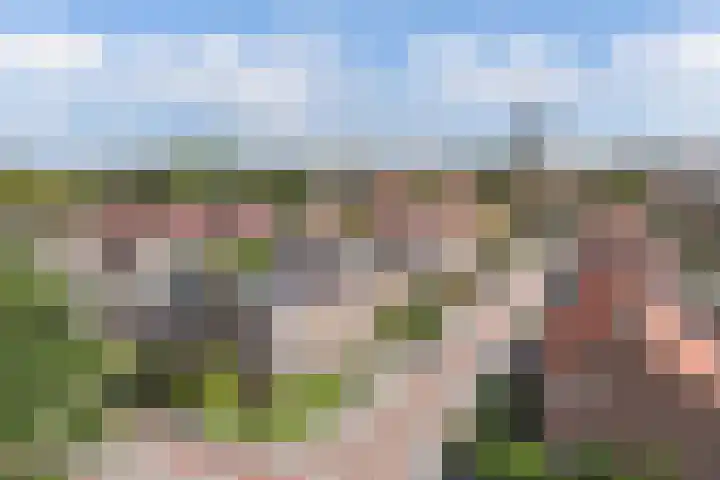 Harmen Coops Fledderusstraat 18 Steenwijk thumbnail 41