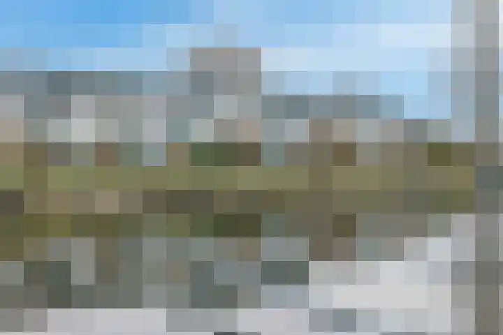 Harmen Doumastraat 14 Leiden thumbnail 4