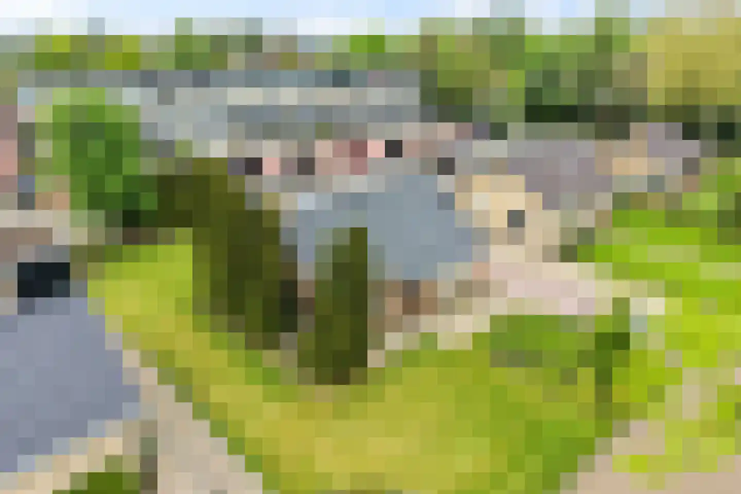 Harmen Sytstrastraat 7 Buitenpost thumbnail 30