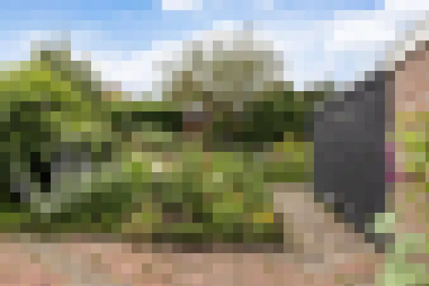 Harmen van Swinderenstraat 15 Steenwijk thumbnail 5