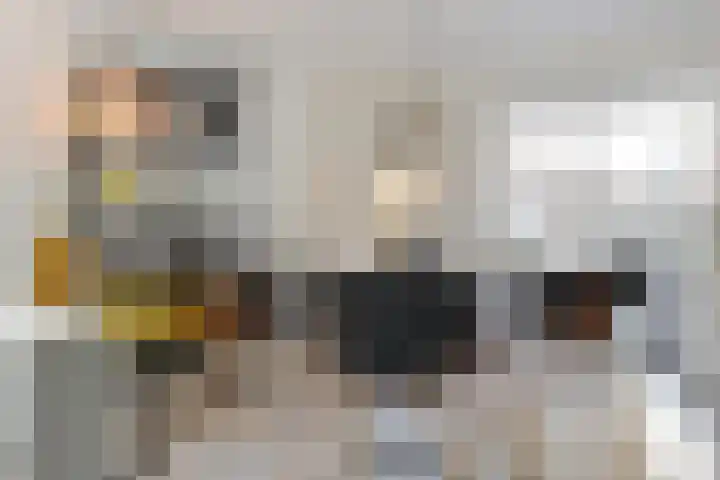 Harmenjansweg 11 ZW Haarlem thumbnail 11
