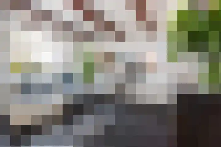 Harmenjansweg 11 ZW Haarlem thumbnail 13