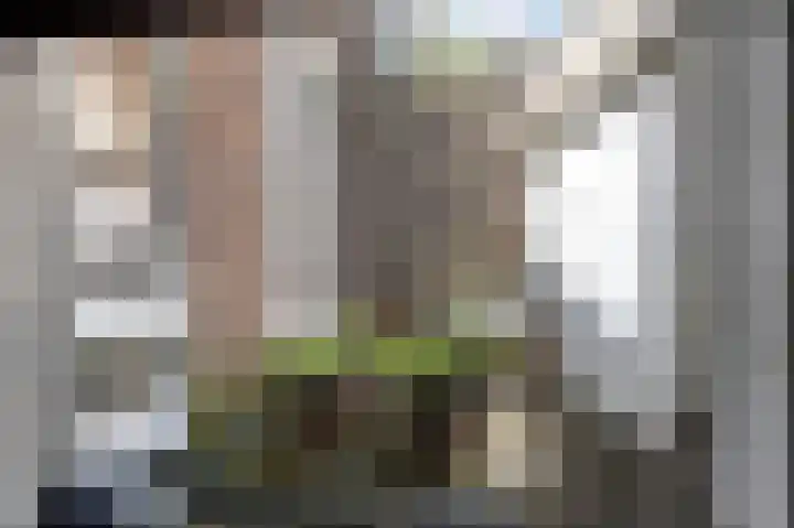 Harmenjansweg 11 ZW Haarlem thumbnail 14