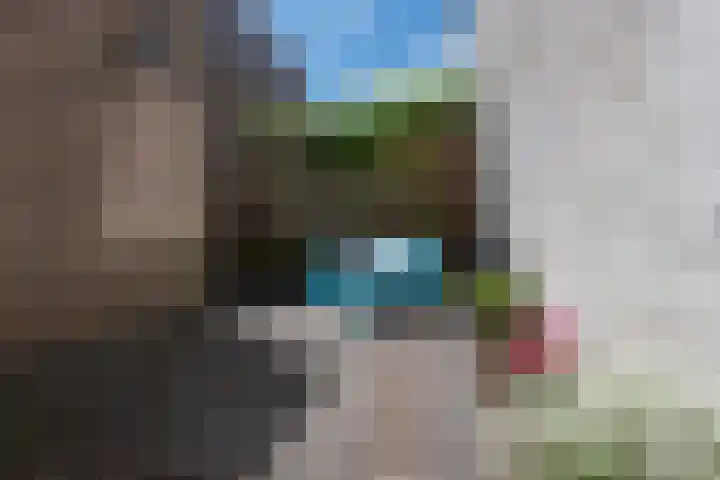 Harmenjansweg 11 ZW Haarlem thumbnail 30
