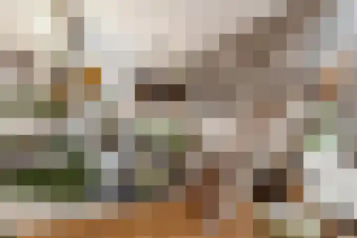 Harmenjansweg 11 ZW Haarlem thumbnail 33