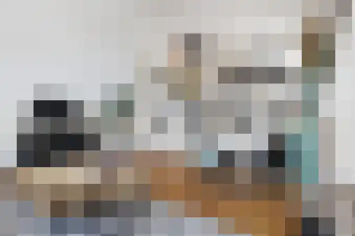 Harmenjansweg 11 ZW Haarlem thumbnail 4