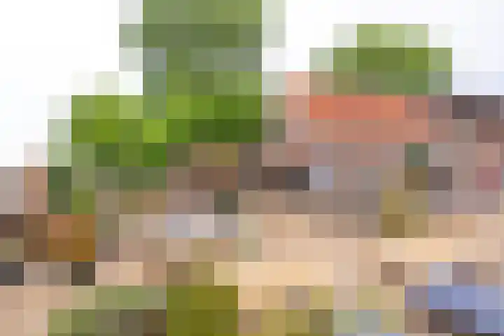 Harmenjansweg 11 ZW Haarlem thumbnail 42