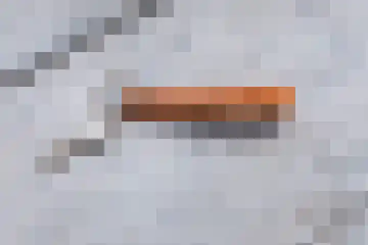 Harmenjansweg 11 ZW Haarlem thumbnail 46