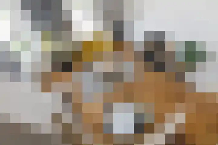 Harmenjansweg 11 ZW Haarlem thumbnail 5