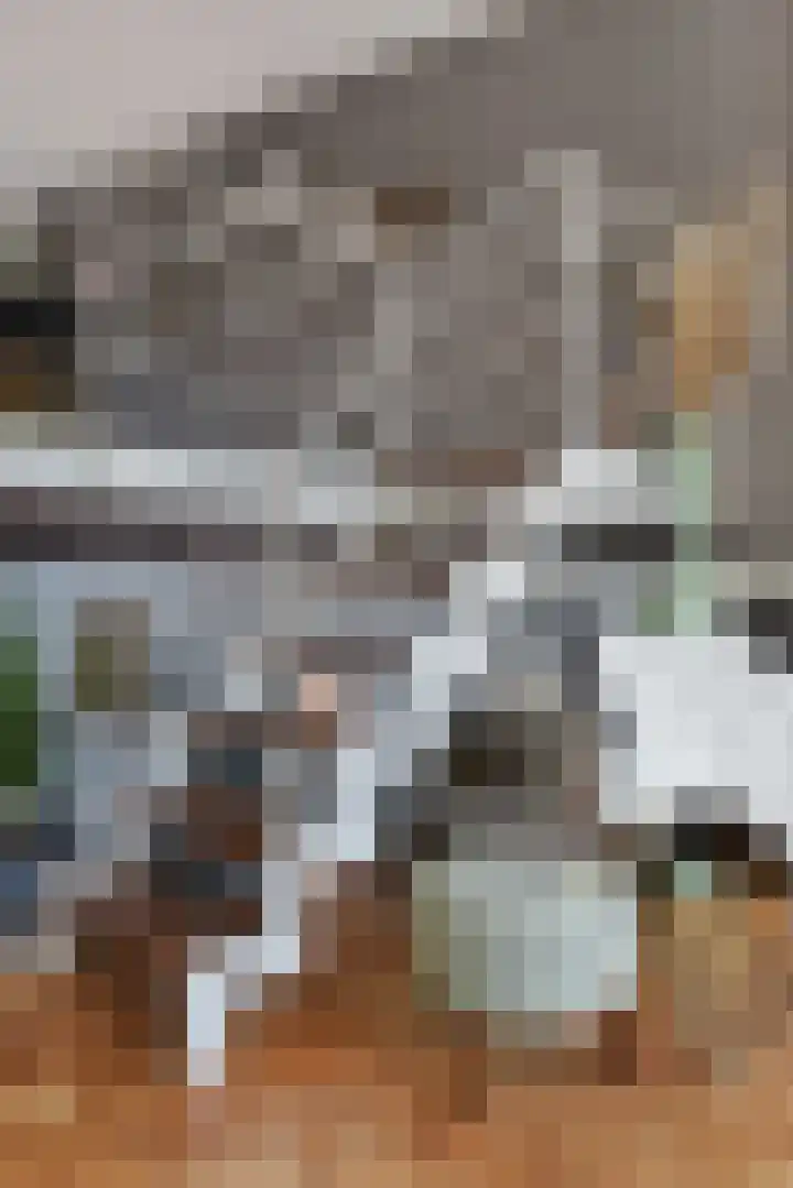 Harmenjansweg 11 ZW Haarlem thumbnail 7
