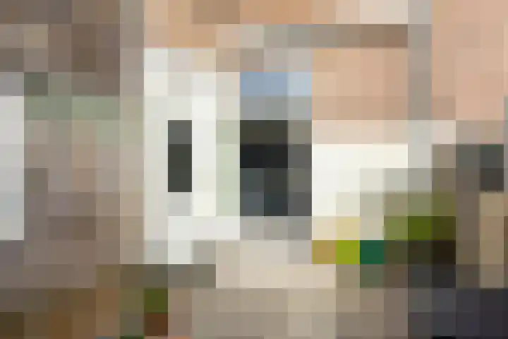 Harmenjansweg 14 Haarlem thumbnail 15