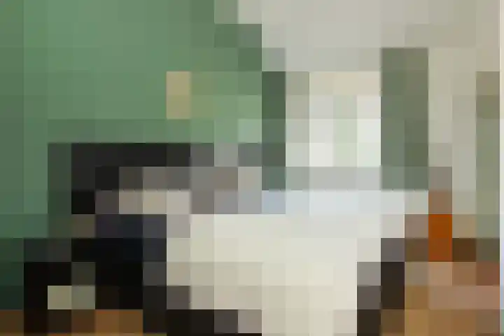 Harmenjansweg 14 Haarlem thumbnail 21