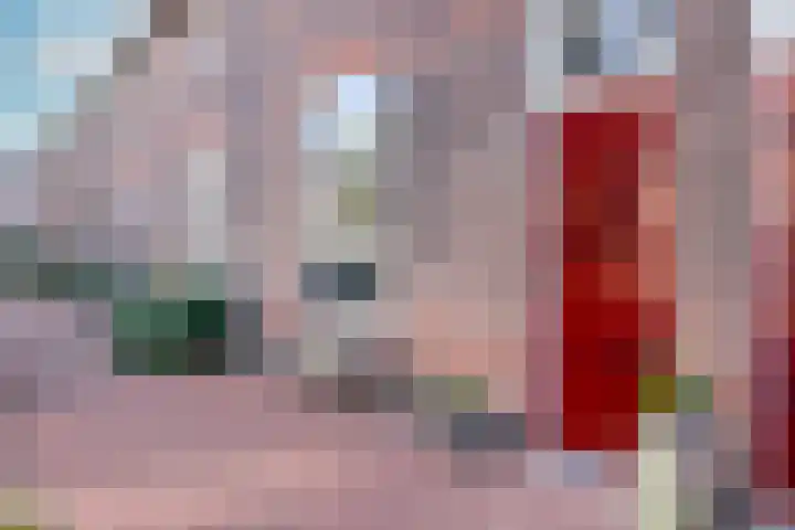 Harmenjansweg 14 Haarlem thumbnail 27