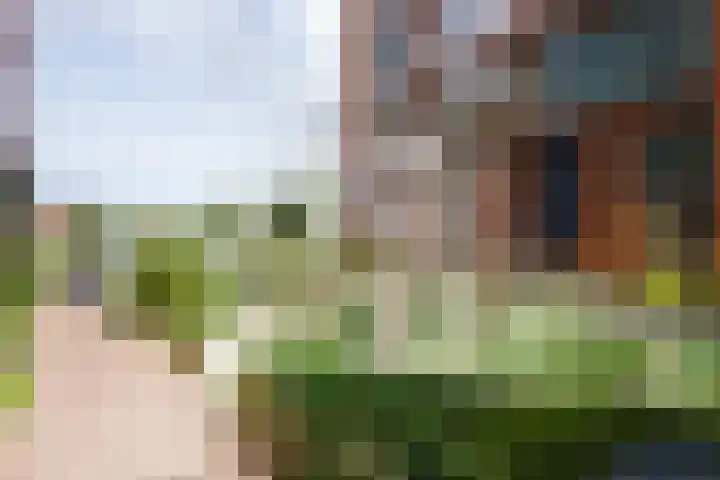 Harmenjansweg 14 Haarlem thumbnail 29