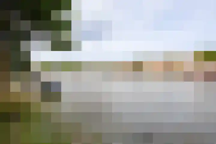 Harmenjansweg 14 Haarlem thumbnail 30