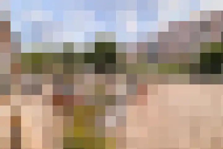 Harmenjansweg 14 Haarlem thumbnail 31